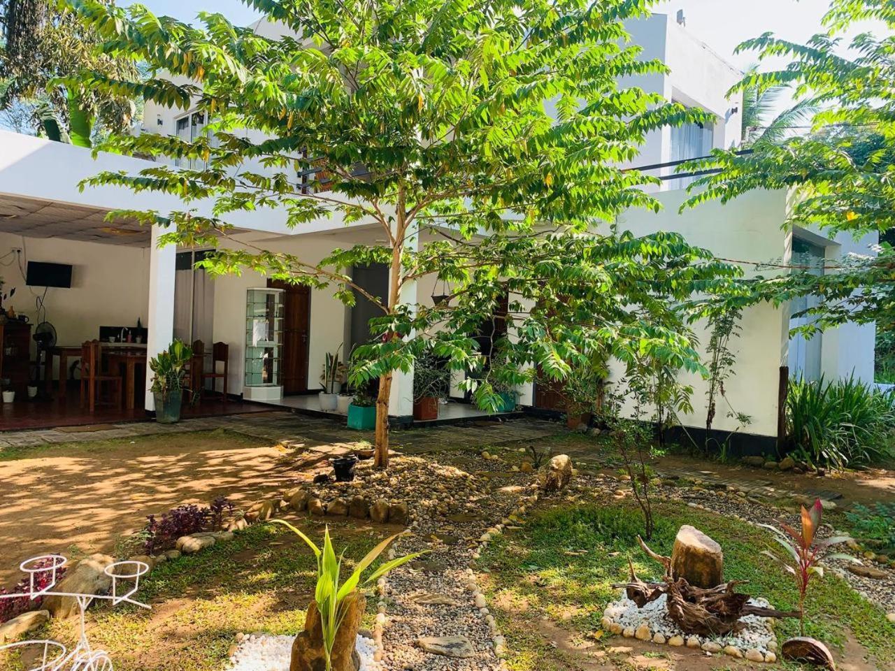 Chill House Safari Resort اوداوالاوي المظهر الخارجي الصورة