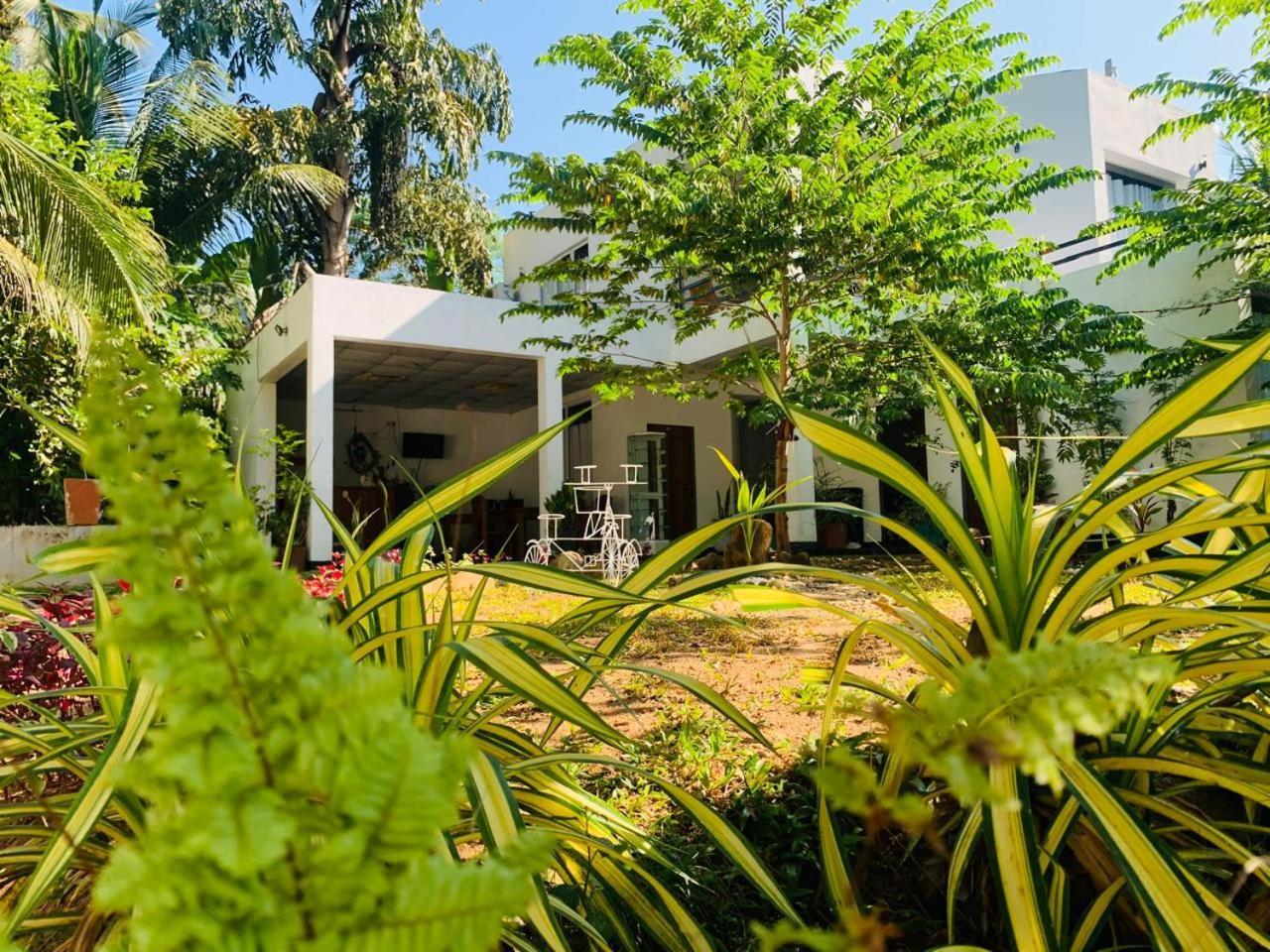 Chill House Safari Resort اوداوالاوي المظهر الخارجي الصورة
