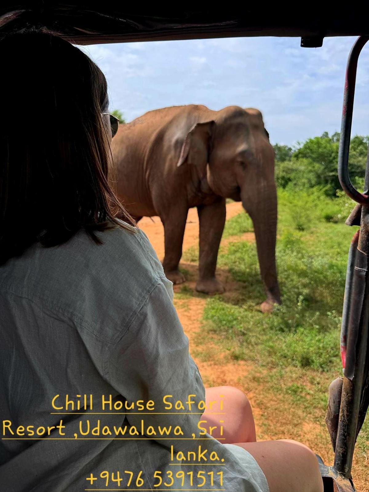 Chill House Safari Resort اوداوالاوي المظهر الخارجي الصورة