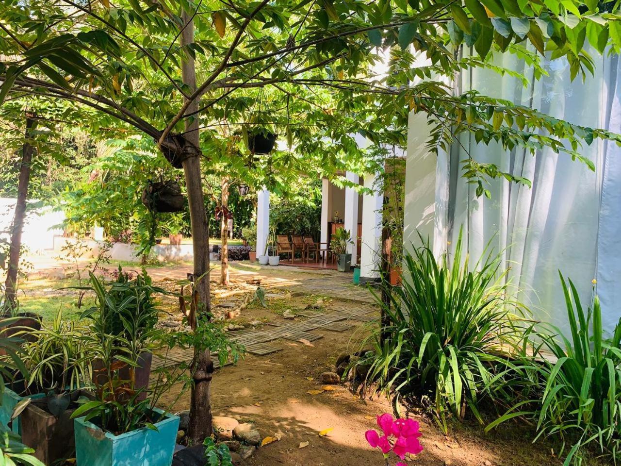 Chill House Safari Resort اوداوالاوي المظهر الخارجي الصورة